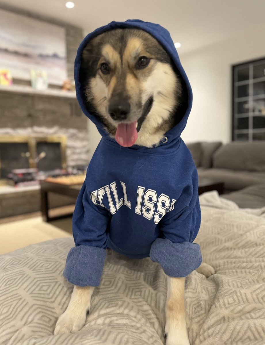 Tiggy says you need to buy a Skill Issue hoodie right now or else! Grab yours now: store.ar12gaming.com/collections/we… 🇺🇸 Free Shipping in USA 🇨🇦 Free Shipping in Canada 🌍 Free Shipping International after $100+