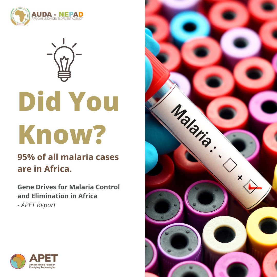 Can rewiring nature's genetic code end malaria in Africa? Our report on #GeneDrives for #MalariaControl tackles this bold question. Discover how this #EmergingTechnology can fight against one of Africa's most persistent health challenges 🌍💊 bit.ly/3C0wpij #APET #IVM