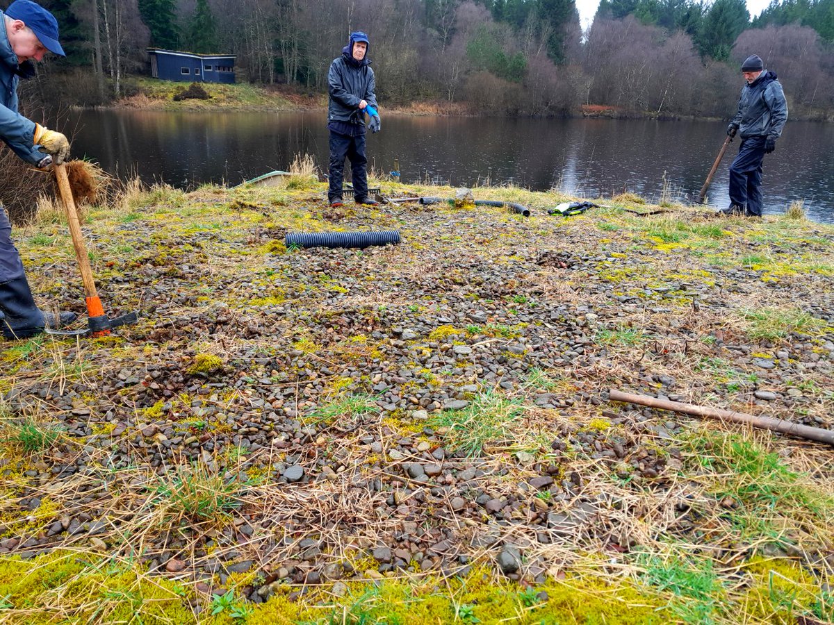 Oystercatcher Island at Bakethin had it’s annual vegetation clearance recently. Removing last summer’s grass and moss growth makes sure there is a good area of shingle for Oystercatchers to nest on. Many thanks to the intrepid volunteers who rowed over to carry out the work!