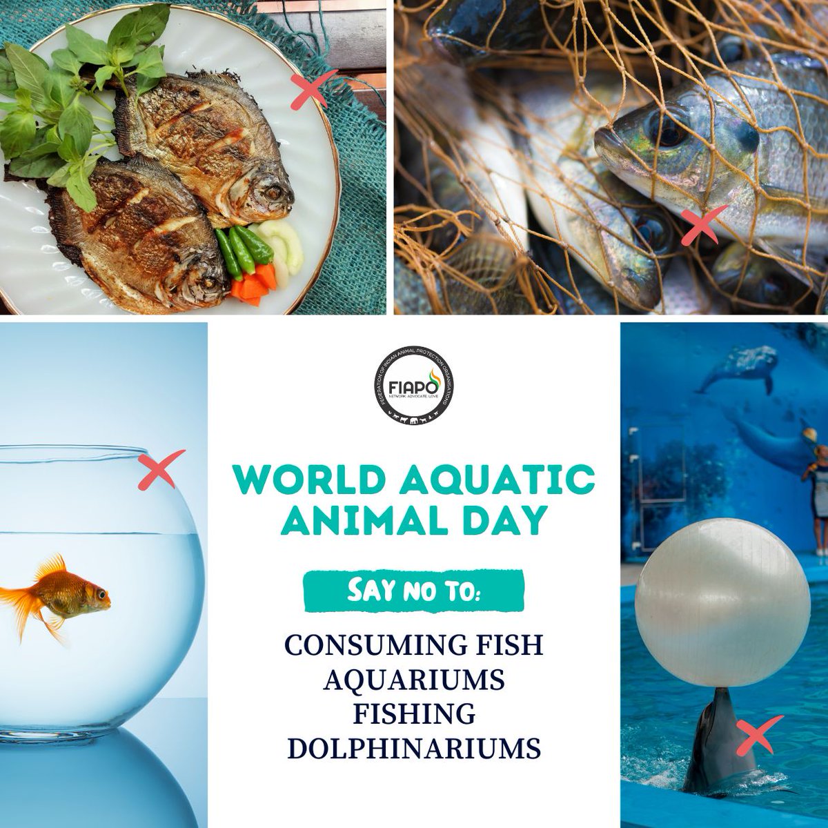 Today let’s pledge to treat our aquatic friends with love & respect. Say no to eating fish, aquariums, fishing for leisure, and dolphinariums where fishes are made to perform! #worldaquaticday #dolphinariums #aquariums #sentient