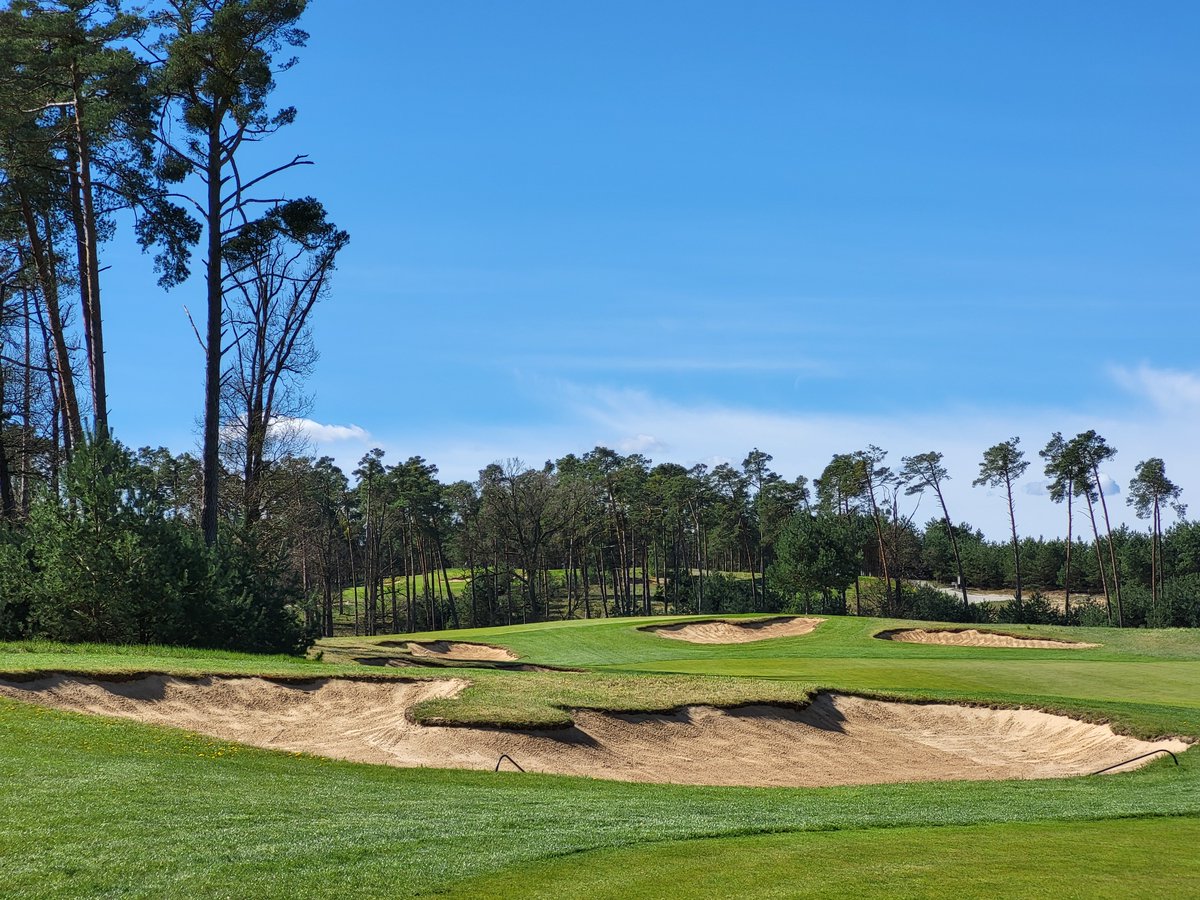 CreateGolf's tweet photo. This place shines in the Spring, the bunkers are all sharp, and the tree clearance work is ongoing. Great winter work done by @BuckleyShane and his team! https://t.co/H3AWV9QGOc