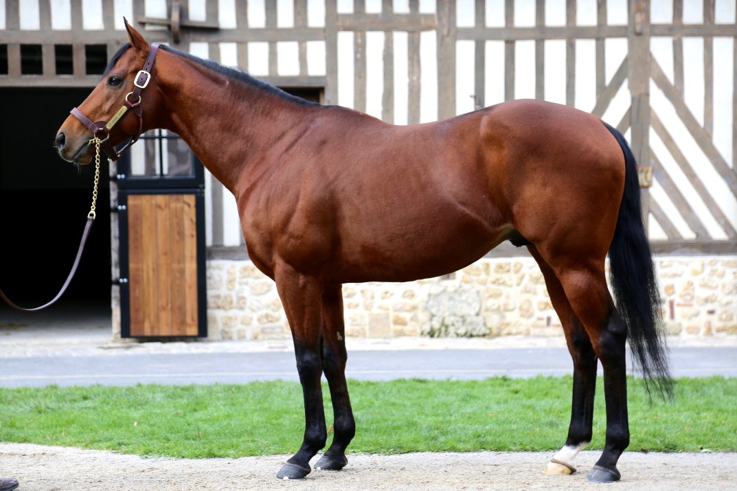 💬 'He throws horses with a lot of physique, good size and good strength. I wasn't expecting this filly to be that early but it's a compliment to the sire.' Stunning Spirit off the mark as Chehboub homebred Pastisse wins at Salon-de-Provence Read more here 👉…