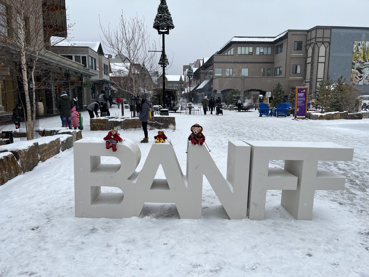 After a lot of flying and messing at airports... It is at last time for some late season North Atlantic skiing... As Thin Lizzy one said.... 'The Bears are Back in Town' #Flynn #FlynnTheBear #Banff #ThinLizzy