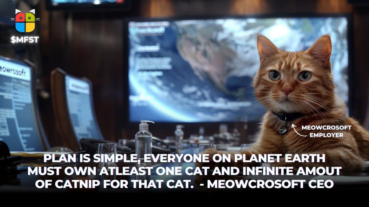 meowcrosoftSOL tweet media