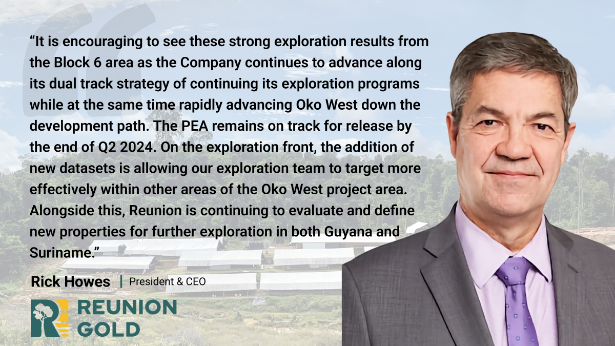 ReunionGoldCorp's tweet photo. The results from Hole D-380 are encouraging as they indicate the potential for additional high-grade mineralized shoots in areas where the current infill drilling continues. You can read the full press release here: https://t.co/Dh3kNdDCfx https://t.co/58QMC4v7ra