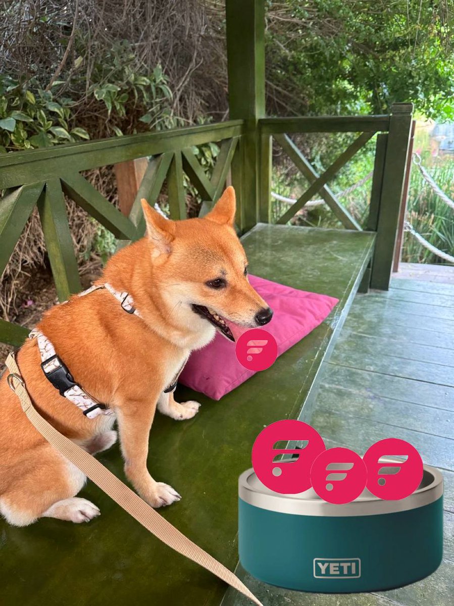 DogwiftongueFLR's tweet photo. $TONGUE is the first original memecoin on the Flare Networks. The meme was literally manufactured, artisan crafted, formed, smithed, created and consecrated by Hugo Philion.

It stands as a testament to advancement, heralding futuristic transactions and guiding visionaries. https://t.co/2RHmkLiE23