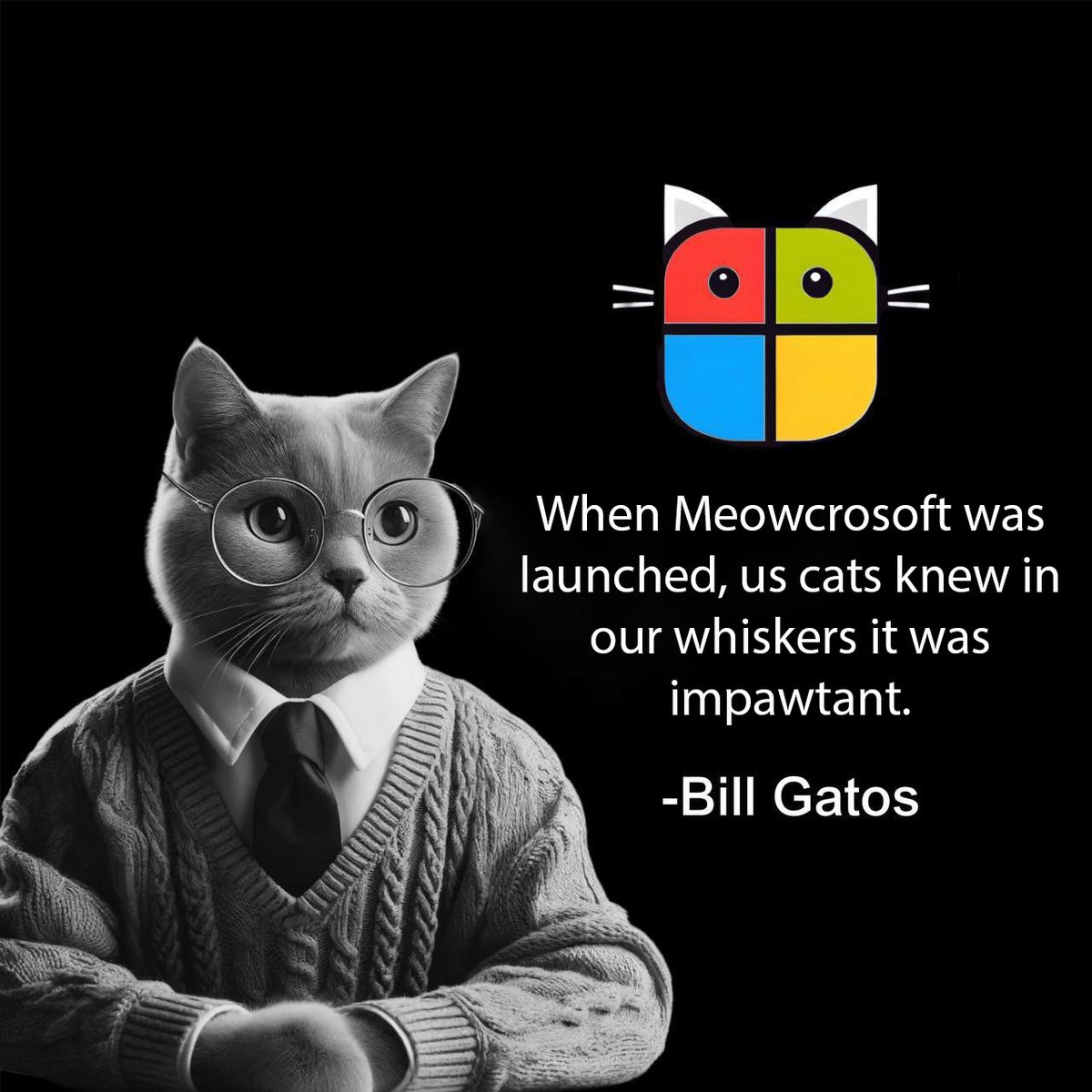 meowcrosoftSOL tweet media