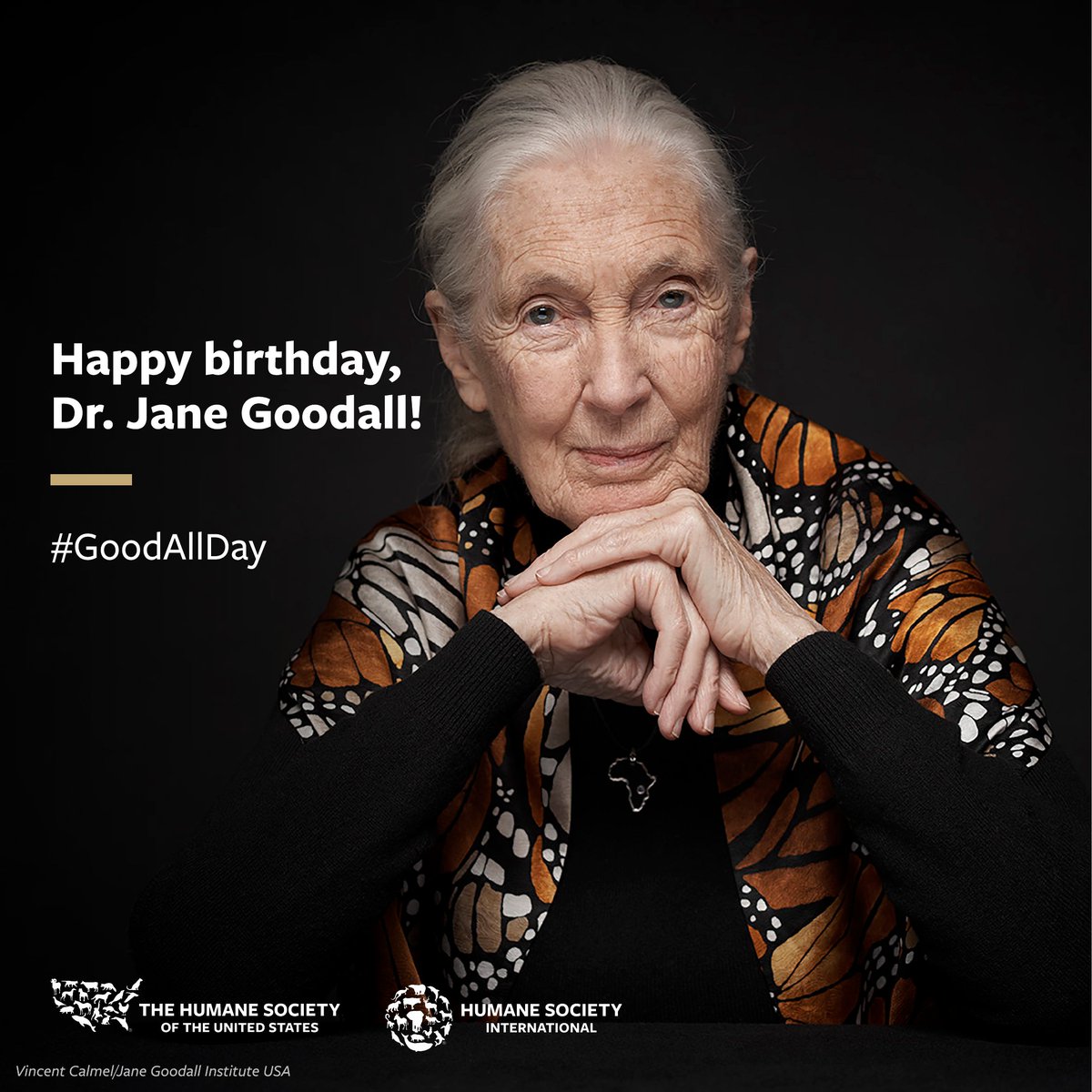 🎉 Happy 90th Birthday, Dr. Jane Goodall! 🌍🐒 Your message of hope and tireless dedication to wildlife conservation continues to inspire generations worldwide. From your groundbreaking research on wild chimpanzee behavior to your relentless advocacy for conserving the planet