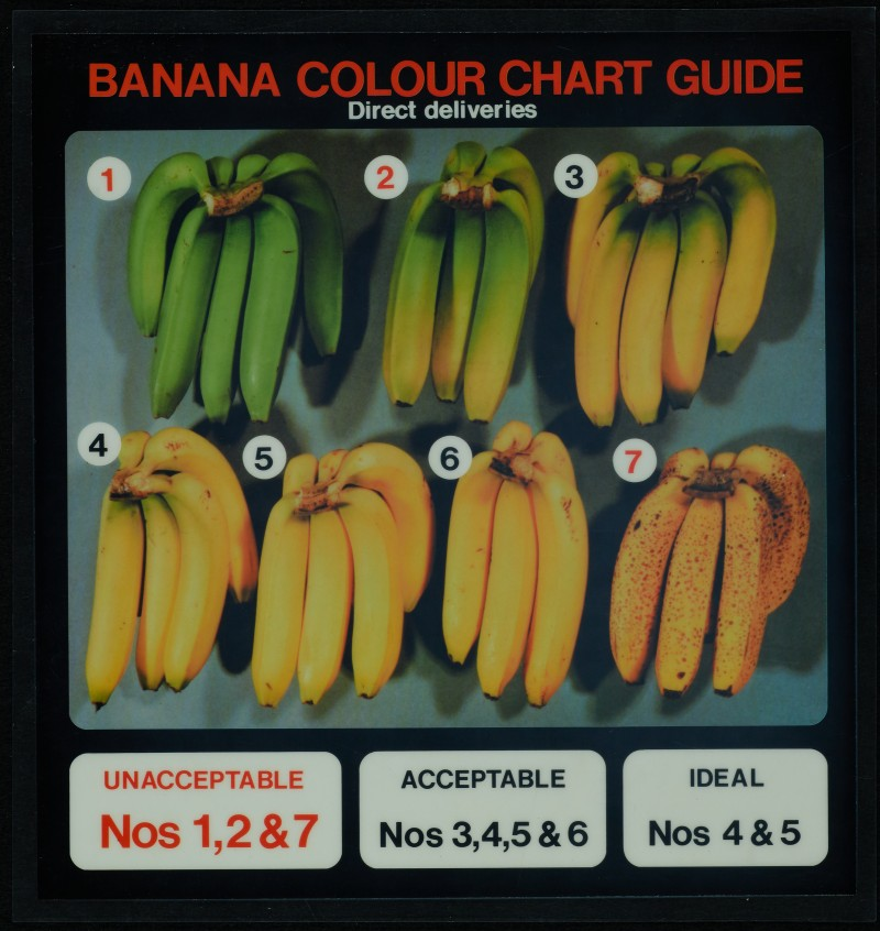 A banana colour chart guide for #colourfularchives 

#Archive30