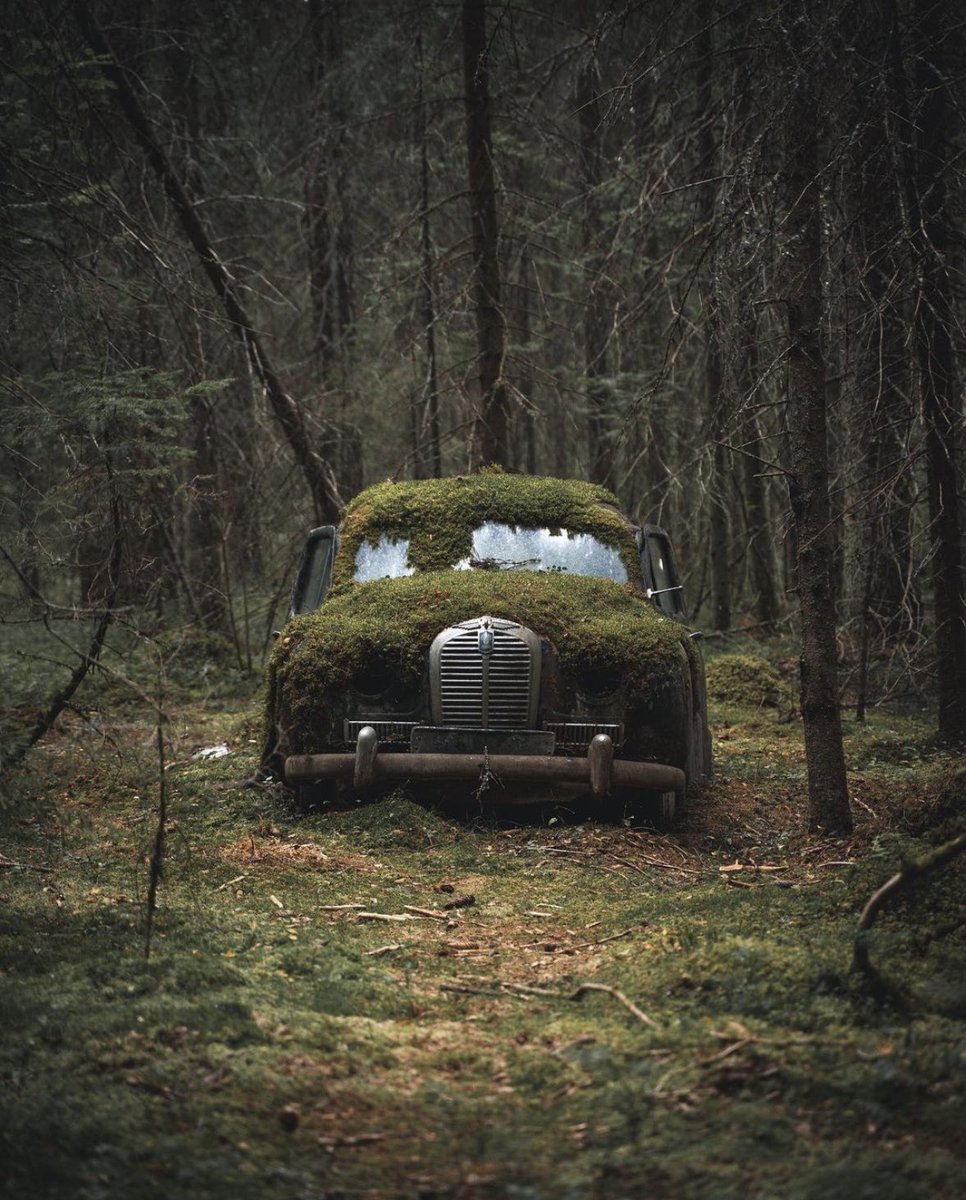 CarteUrbex's tweet photo. • Exploration urbaine •
•
➺ https://t.co/qtXo28AILG 🗺
•
➺ Photo: @kupanik 
➺ Follow: @CarteUrbex 
➺ Tag: #carteurbex
•
#urbex #urbexfrance #abandoned #urbexphotography #decay #urbexworld #abandonedplaces #urbexexploration #urbexphoto #photography #urbexplaces https://t.co/BmiyO1qvbA