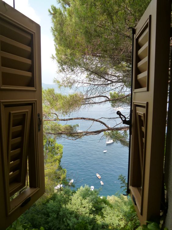 poetical photos. (@poeticalphotos) on Twitter photo 