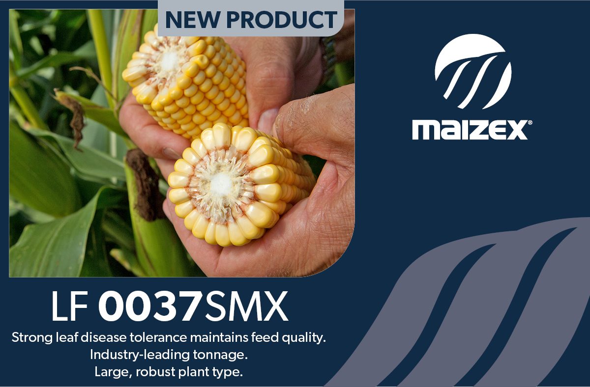 Talk to your #MaizexDealer about which hybrids are best for you! #fieldbyfield #Plant24 #CanadianGrownCanadianOwned