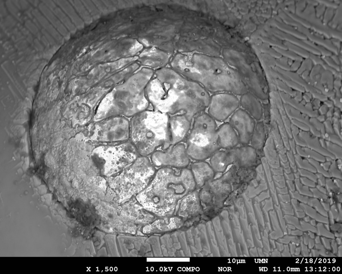Here’s a little SEM sprinkled with a super duper close up sprinkled again with an unmatched closeup with the SEM. :)
