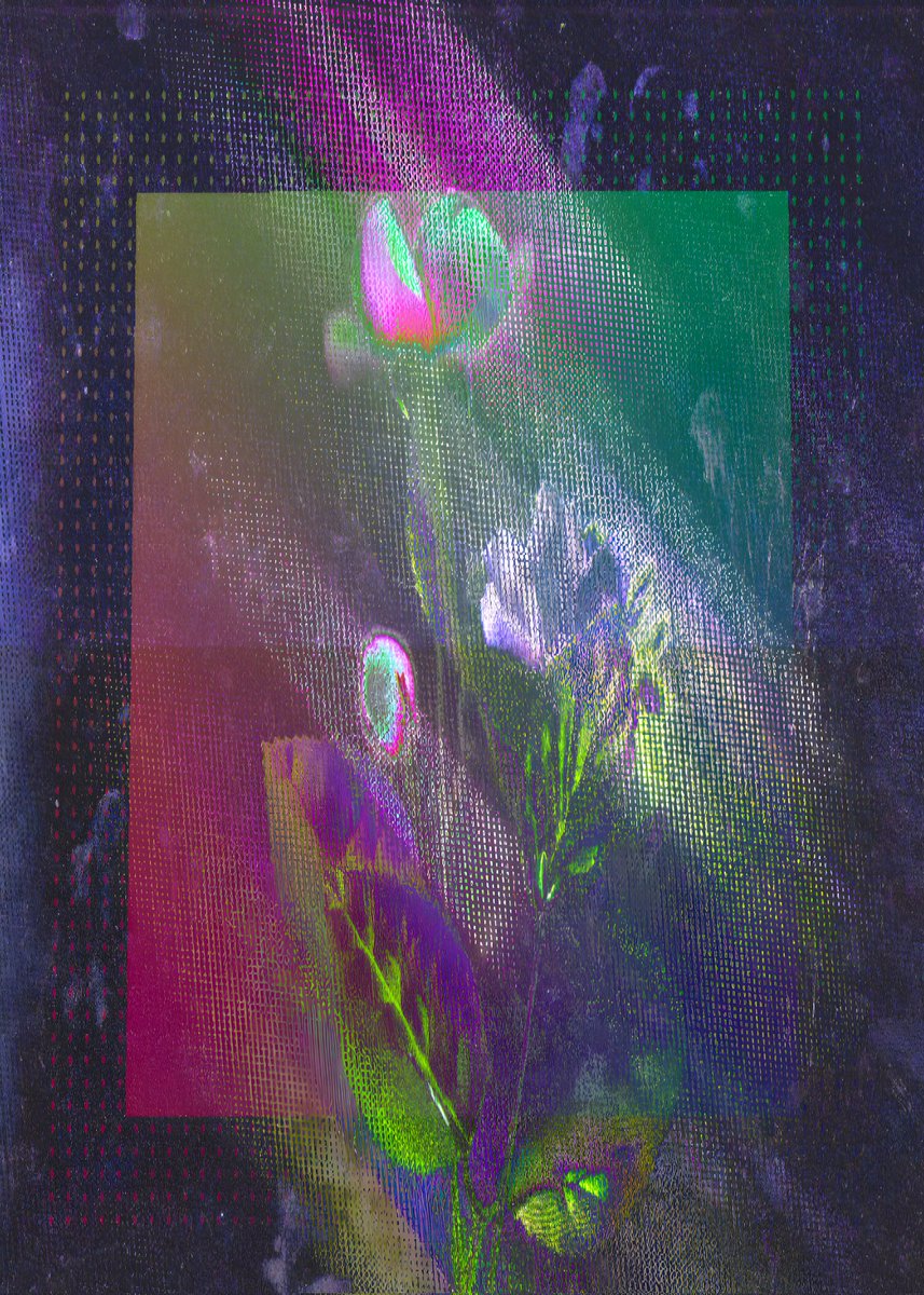 sX_zr04 tweet media