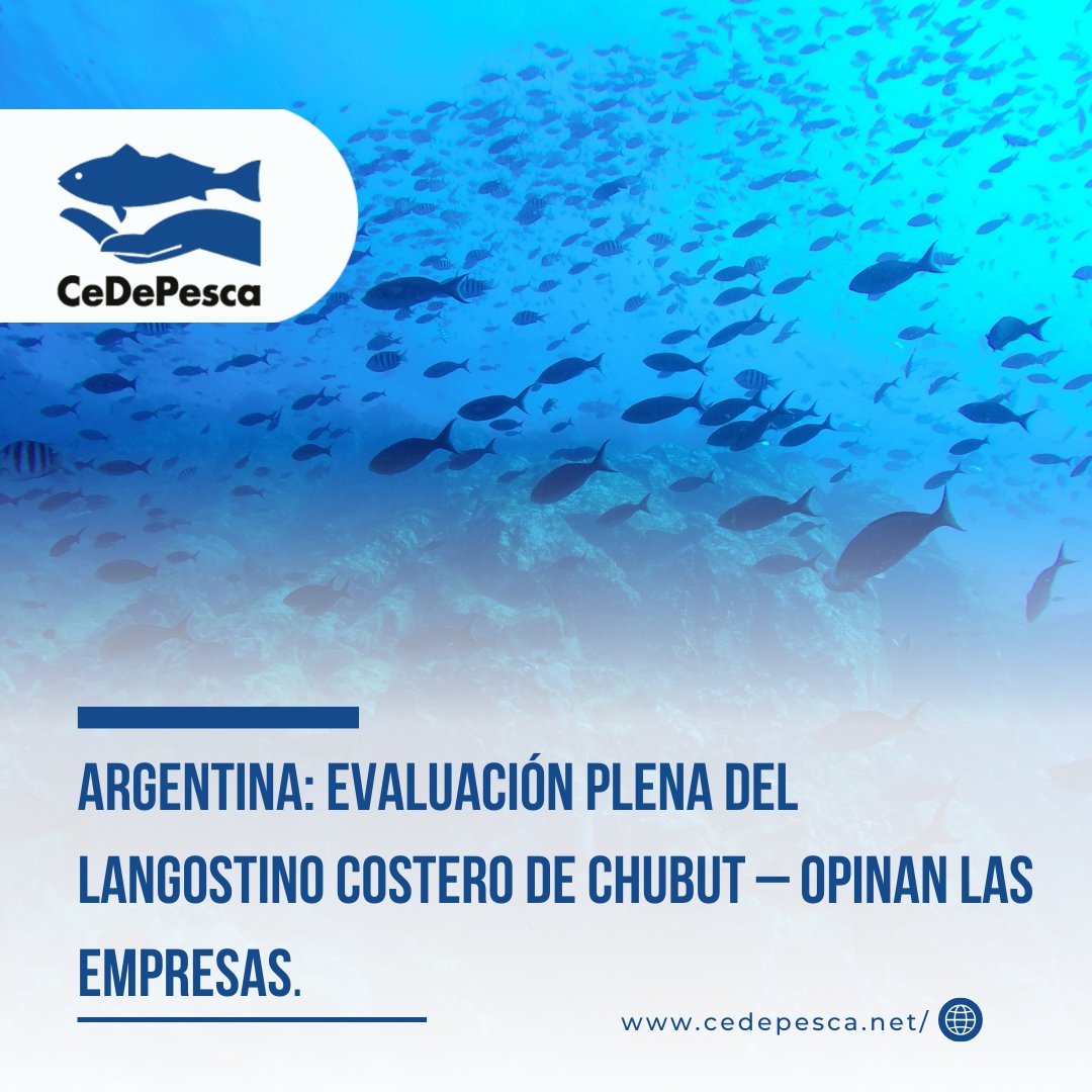 cedepesca's tweet photo. Los invitamos a leer esta nota completa de nuestro último boletín informativo en nuestra página web 🌐: https://t.co/QpKWhHStOw
#Pesca #SostenibilidadPesquera #MSC #ArgentineRedShrimpCoastalFishery #PescaSostenible #PescaSostenible #CertificaciónMSC #Iberconsa #ChubutLangostino https://t.co/dwnWP00UQt