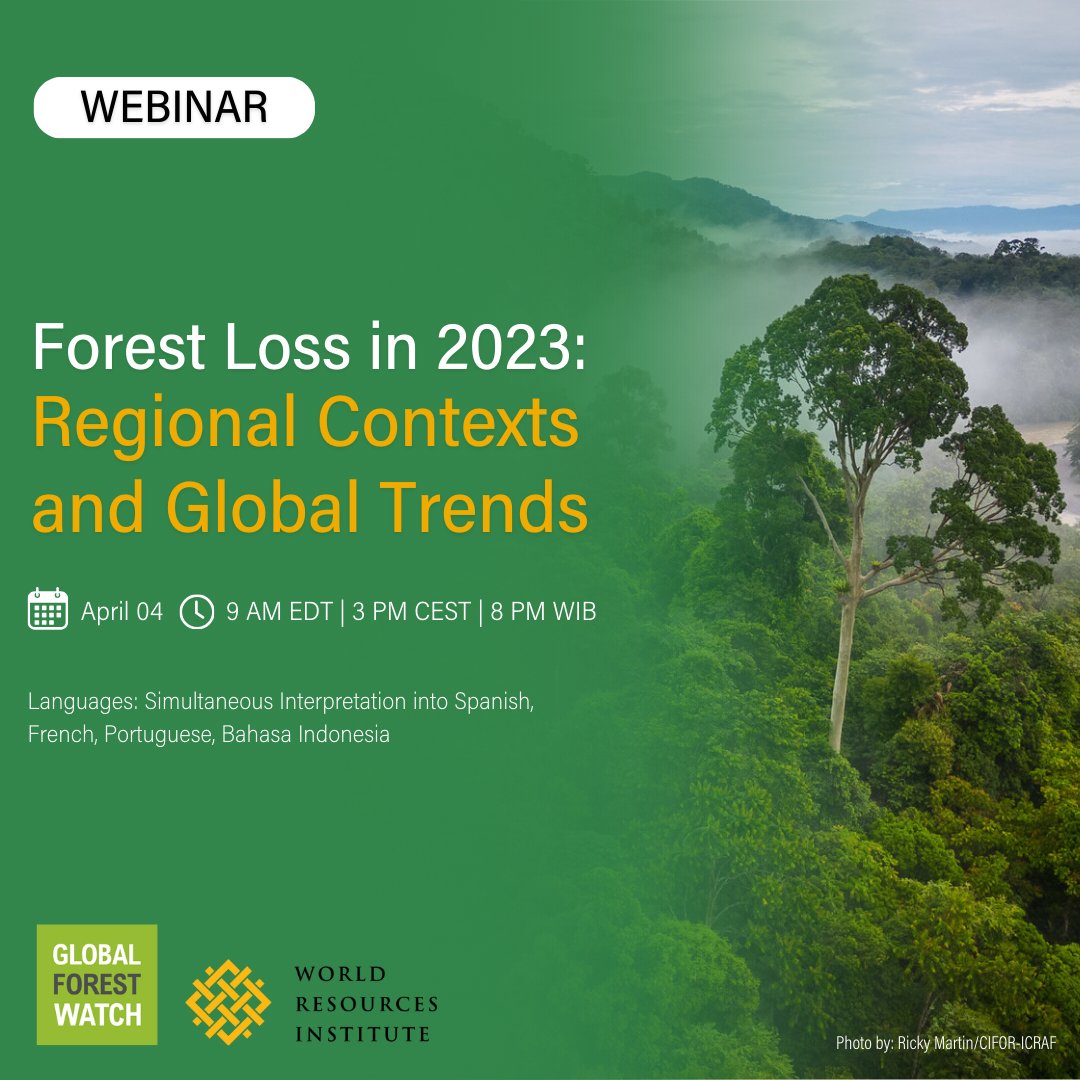 globalforests's tweet photo. Join us TOMORROW for a presentation and deep dive on 2023 #TreeCoverLoss data

There's still time to register ➡️ https://t.co/KWX1l1Jaae https://t.co/UVno6FCfiX