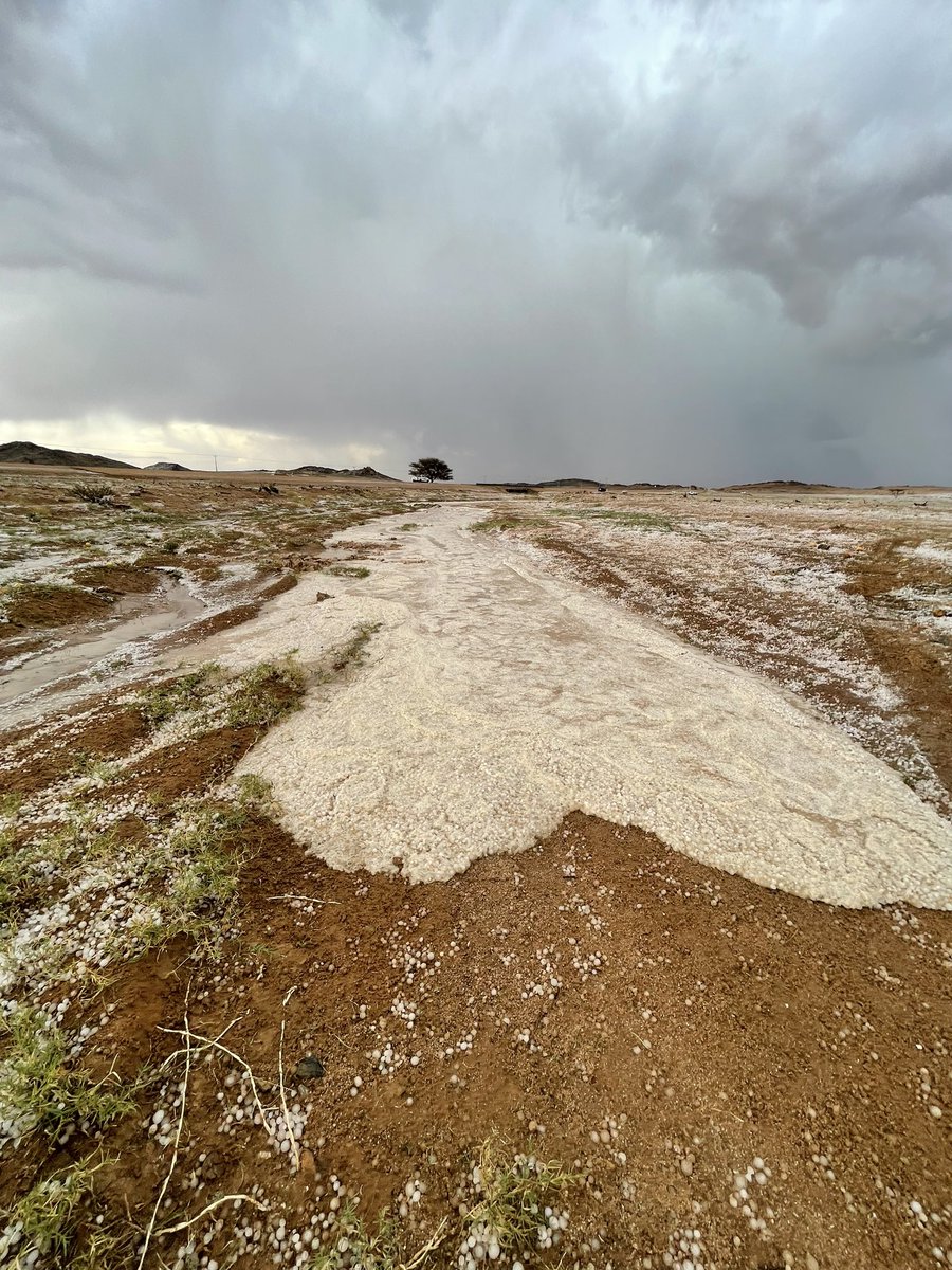 حي ماجاب والله 😍