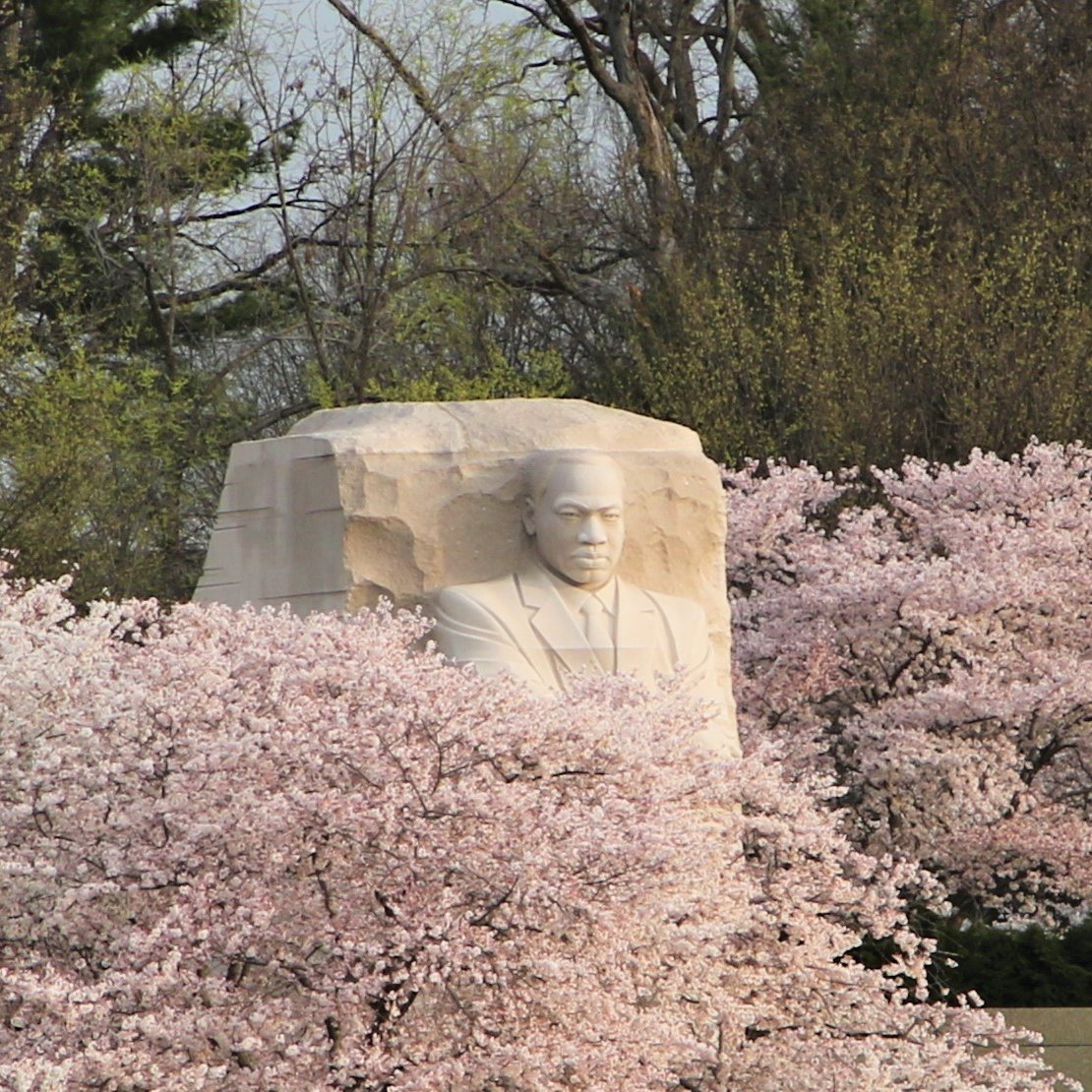 NationalMallNPS's tweet photo. In his last public speech #OTD in 1968 in Memphis, Dr. Martin Luther King, Jr. spoke again about his hope for a better future for all. "I've seen the promised land. I may not get there with you. But I want you to know tonight, that we, as a people, will get to the promised land." https://t.co/fEaCvFzdIJ