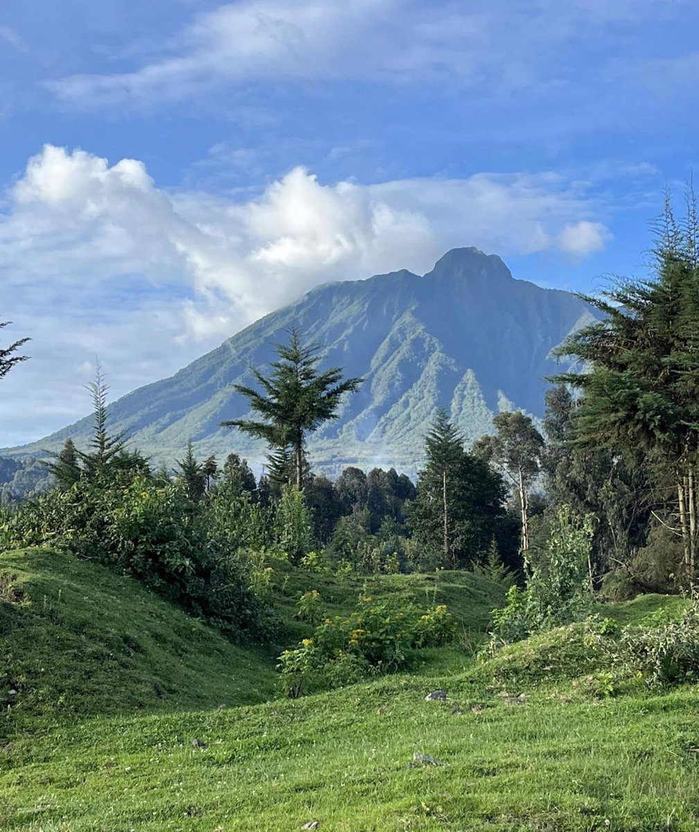 Le Rwanda un pays class 👌🏾 
Le Rwanda a des gorille 🦍 des montagnes du genre Silver back utosanga ahandi ku isi. Vana ubwo burofa ngaha chimpanzés barazifise nyinshi muri Nyungwe. 

Kuri Tourisme, u Burundi turi hasi cane en comparaison avec le 🇷🇼 Uzorebe brand yabo #VisitRwanda