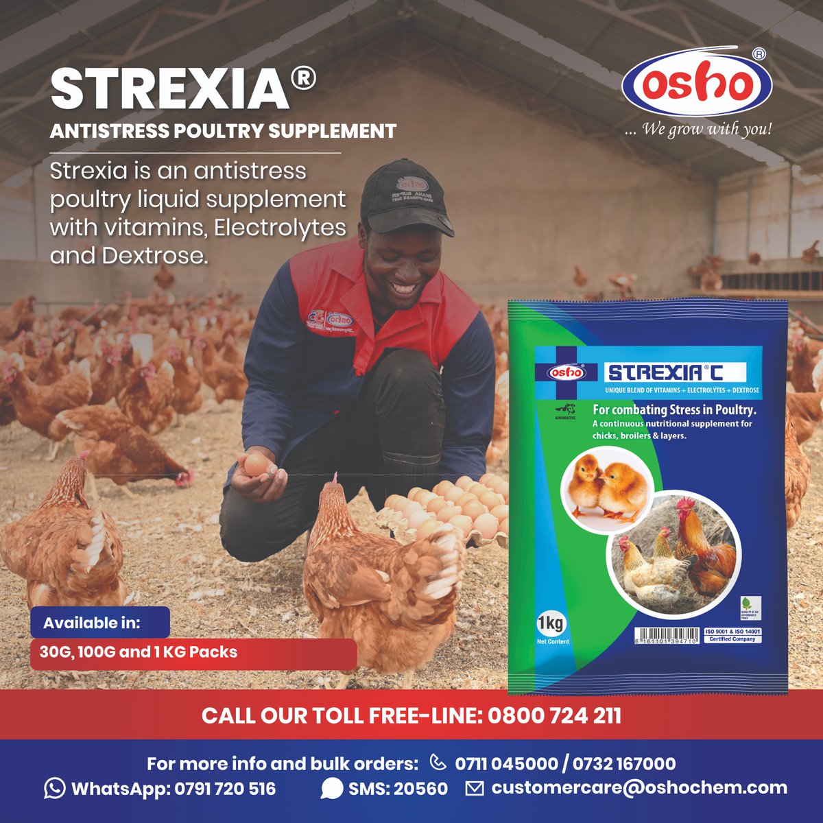 Say goodbye to stress in chicks, broilers & layers with our unique blend of vitamins, electrolytes & dextrose. Keep your poultry happy, healthy & thriving! Reach out via our toll-free line: 0800724211 or call 0711045000/0732167000 SMS at 20560 WhatsApp 0791720516. #wegrowwithyou