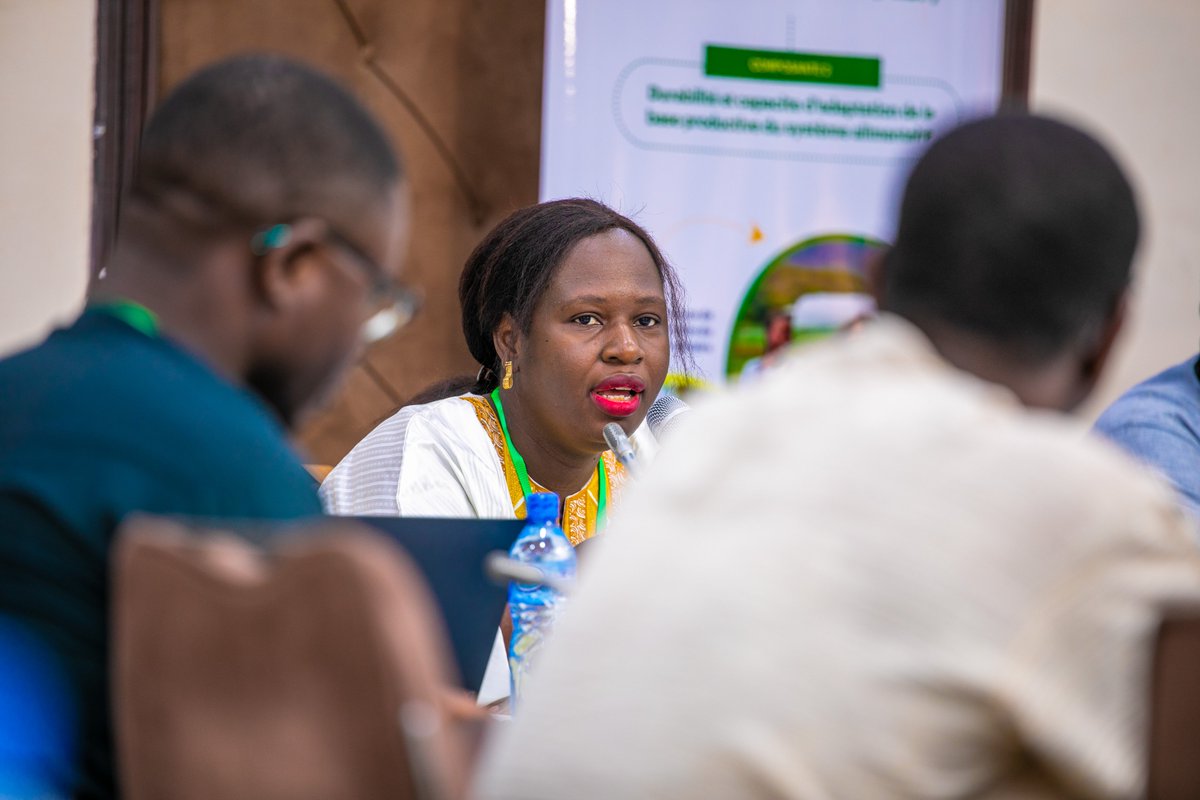 🔴 #FSRP: En direct de #Ouagadougou 🇧🇫
L'atelier régional de restitution des résultats est en cours, avec des sessions interactives et des échanges animés en termes de Programmes de formation &amp; curricula et de plan d'animation des Plateformes d'innovation en Afrique de l'Ouest.