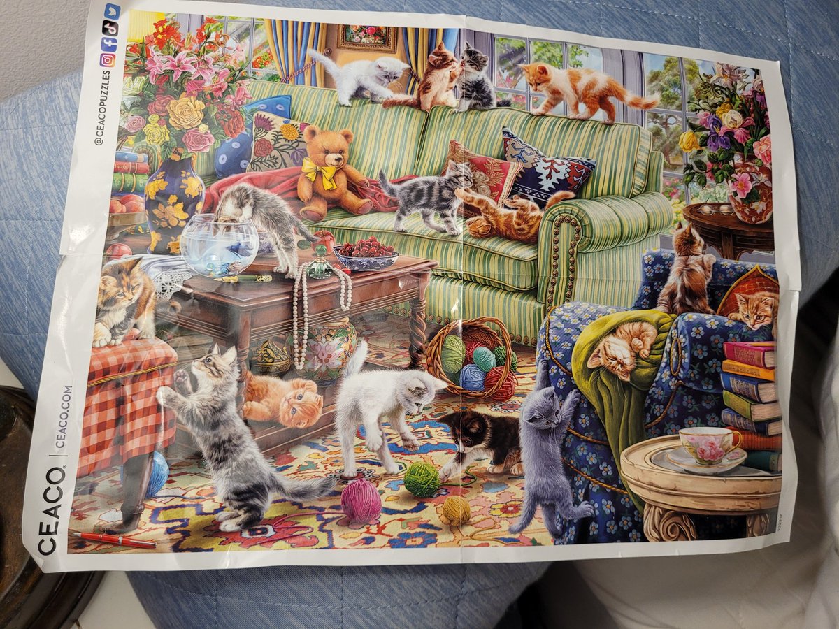 This is a call to anyone who has a ceaco puzzle. I recently got a puzzle for free, my first puzzle ever, but it's missing three pieces. There's no way for me to get more pieces from @CeacoPuzzles so I'm wondering if anyone out there can help. Thank you!!