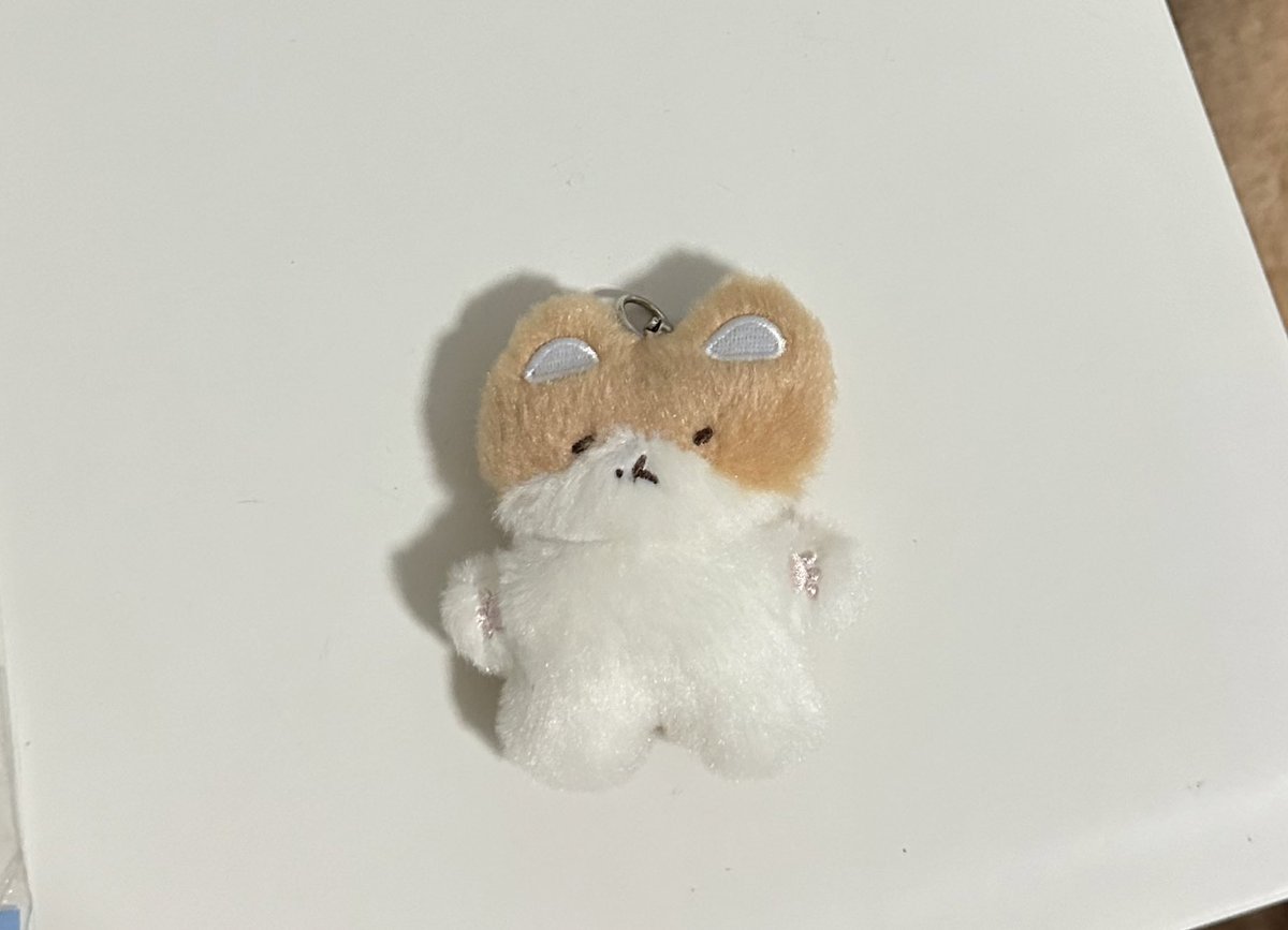 exooxe1485's tweet photo. พร้อมส่ง
ทอแรกี teolaegi keyring 
200 บาทรวมส่ง 💖
*แกะแล้วนะคะ
#ตลาดนัดexo #ทอแลกี #teolaegi #ตลาดนัดเอ็กโซ #ขายของสะสมexo https://t.co/fFLgoXloeO