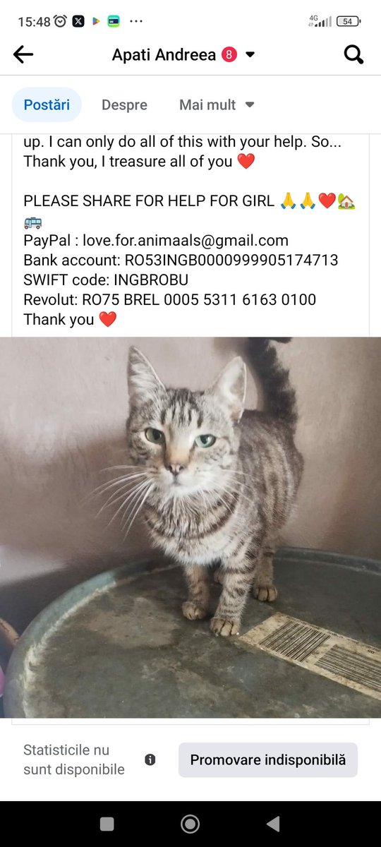 Theea Rehab (@rehabtheea) on Twitter photo 