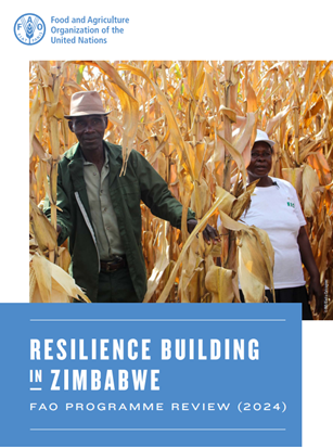 PatriceTalla's tweet photo. New publication! on Resilience building in Zimbabwe: FAO Programme review 2024.
This document reflects on analysis of ongoing @FAO in 🇿🇼resilience building interventions and how they contribute strengthening capacities for resilience building. Read more 👉 https://t.co/o9Z3uXxSTk https://t.co/GgBjZbtomB