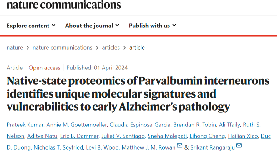 Here we reveal for the first time the native-state proteome of an inhibitory interneuron in vivo. We also show a method to rapidly deploy this tech across other cell types and disease models nature.com/articles/s4146… Congrats co-firsts Prateek and Annie, and @rangarajulab !