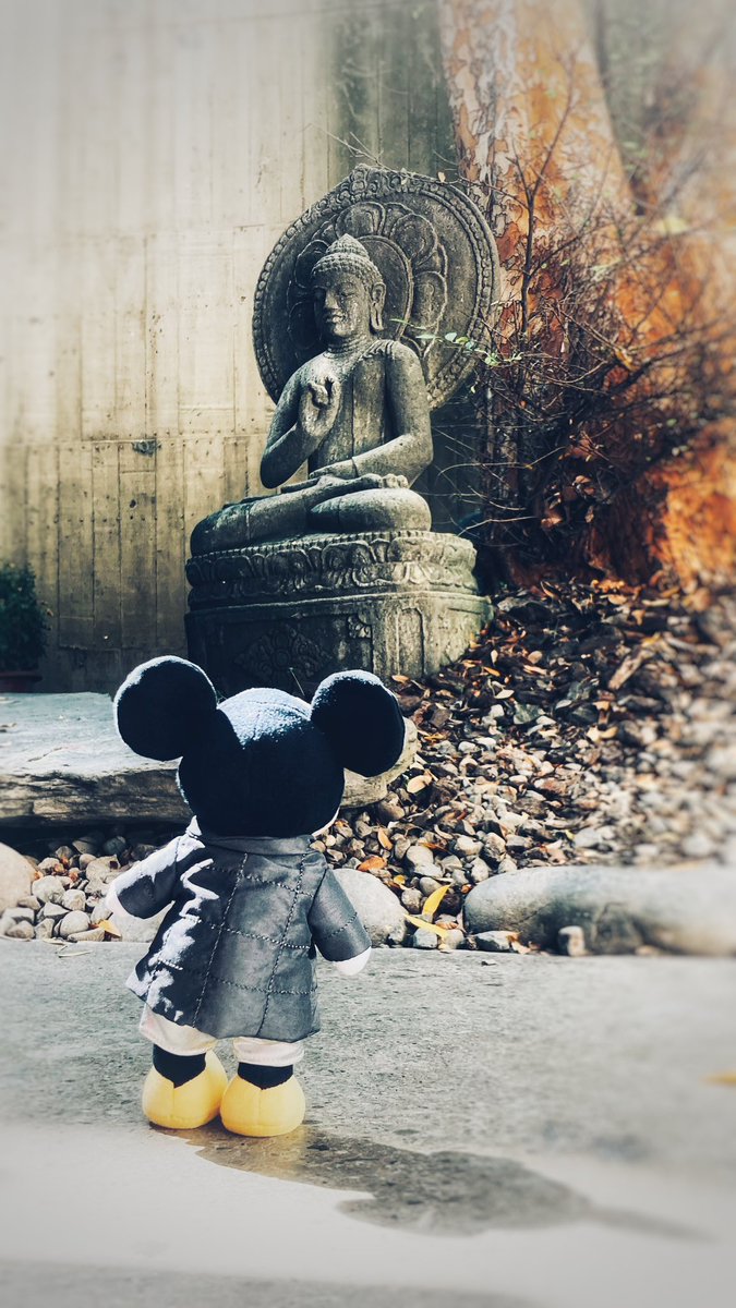 NemoLee0790's tweet photo. At last I see the light  我終於看見光芒 And it's like the fog is lifted 
彷彿濃霧都散去 And at last I see the light  而我終於找到光芒 And it's like the sky is new  就像煥然一新的天空  And it's warm and real and bright 
如此溫暖真實的光芒

 #nuiMOs https://t.co/TiuNvgecak