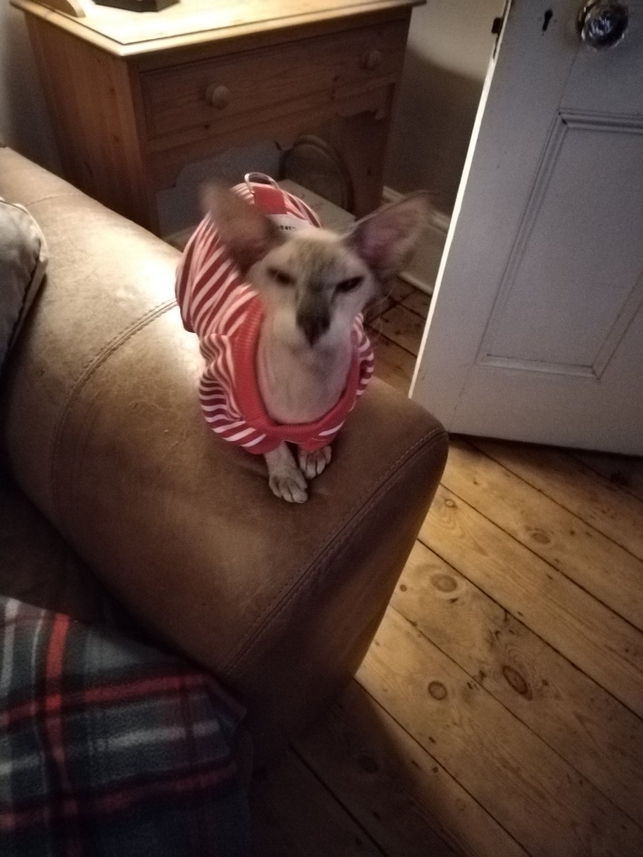 Patrick Clancy 💚 tweet media