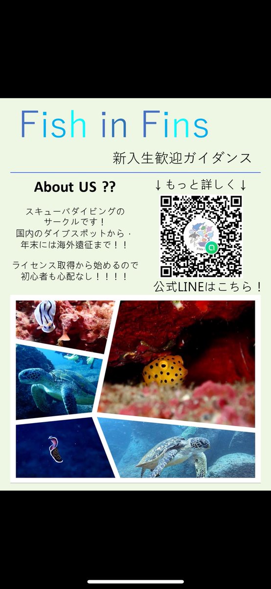Fish_in_Fins's tweet photo. サークル活動を簡単にまとめた資料です
#理科大 #理科大サークル #スキューバダイビング #春から理科大 https://t.co/u5WGLPzqFE