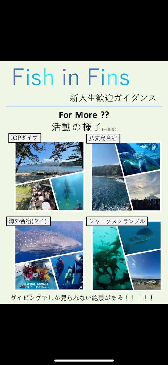 Fish_in_Fins's tweet photo. サークル活動を簡単にまとめた資料です
#理科大 #理科大サークル #スキューバダイビング #春から理科大 https://t.co/u5WGLPzqFE