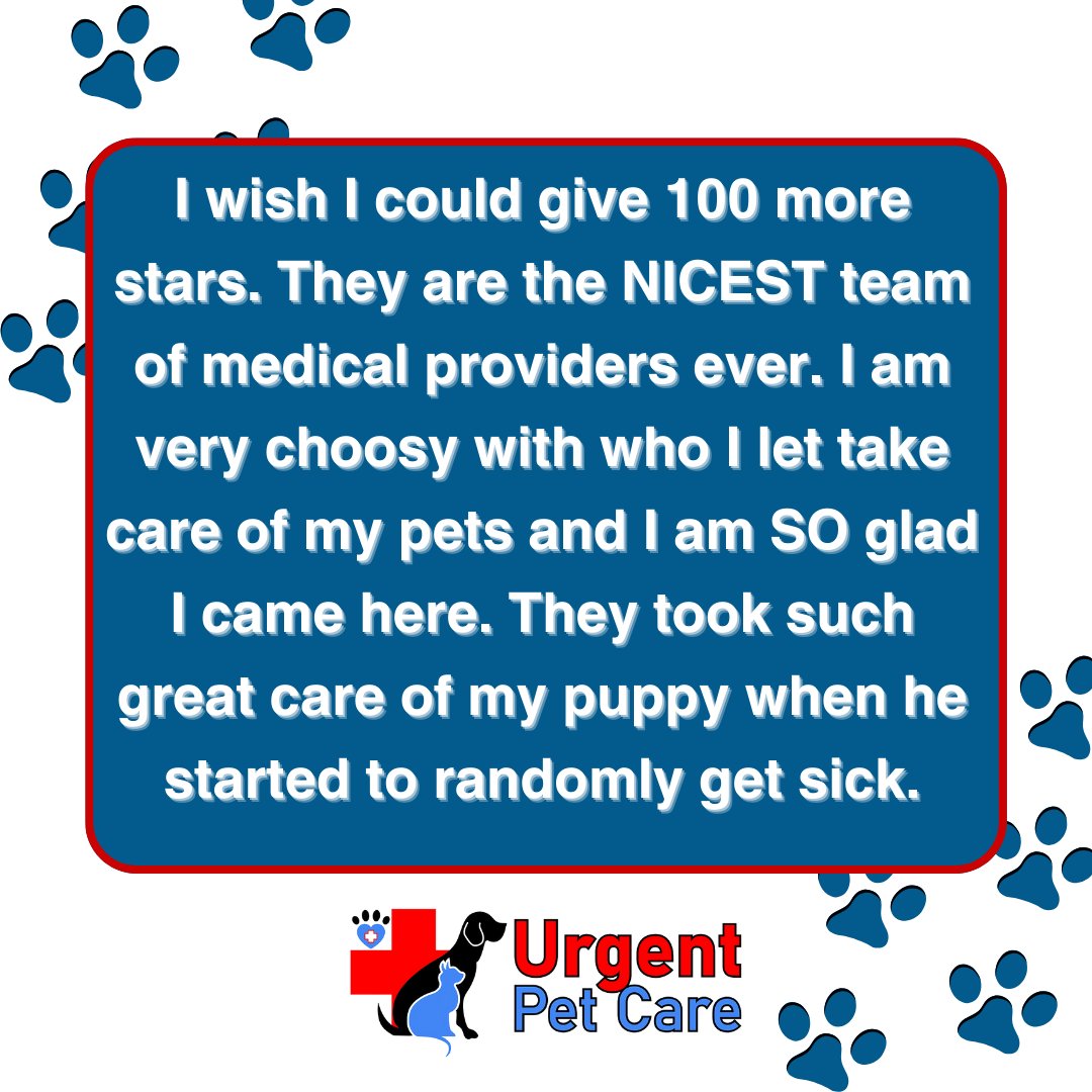 Here at Urgent Pet Care, we love to hear from our clients!🌟

#urgentpetcare #emergency #vetlife #animals #cats #dogs #animalcare