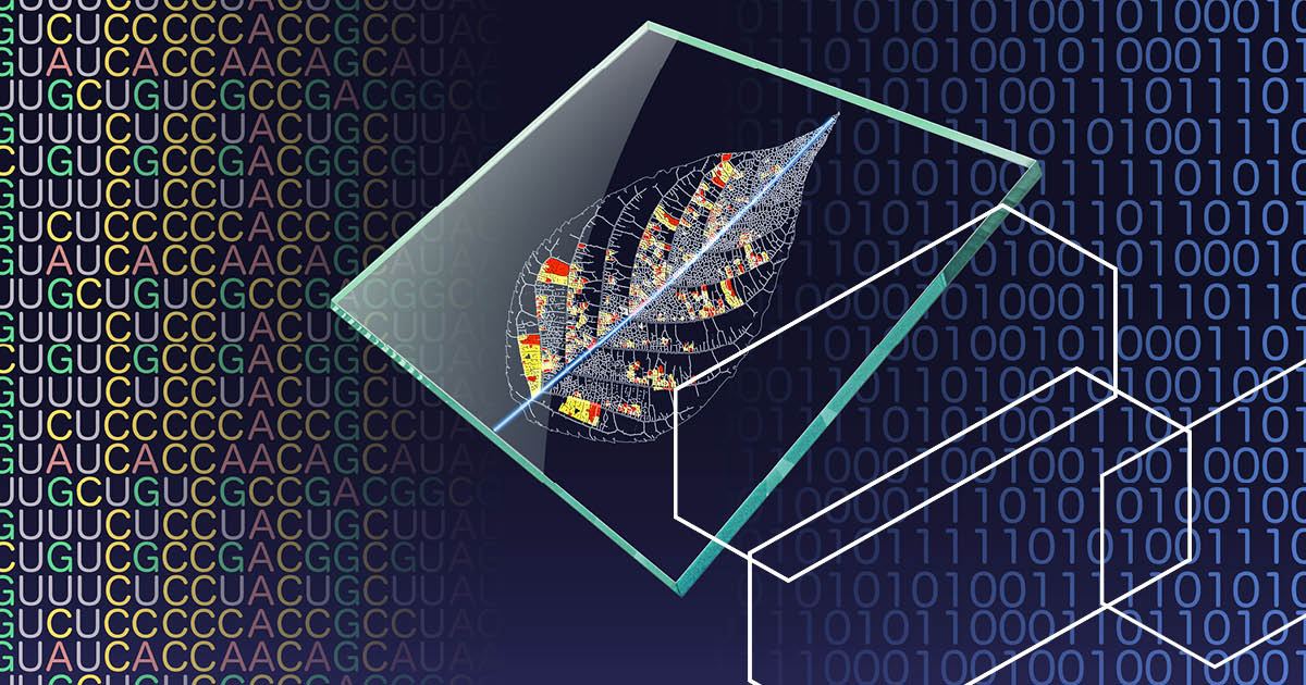 CASChemistry's tweet image. #AI is changing how we study natural products, which are the compounds produced by plants, animals, and microbes. From structure prediction to #bioactivity ranking, AI models are accelerating the #drugdiscovery pipeline. Learn more: ow.ly/VRJG50QsiVp  
#CASInsights