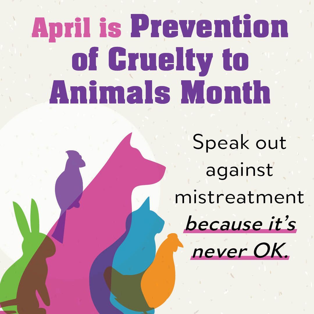 April is Prevention of Animal Cruelty Month. Mistreatment of animals is never OK.