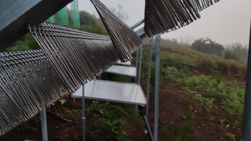 CREAF_ecologia's tweet photo. BOOM! 3⃣ 'made in #Spain' fog collectors capable of collecting up to 250 L of #water per m2 per month are presented 💥💥 The leaves of Canary Island pine trees have inspired the project ✨

All the info here 👀👉https://t.co/hKXTzvDPjH https://t.co/j0Qp6O82xB