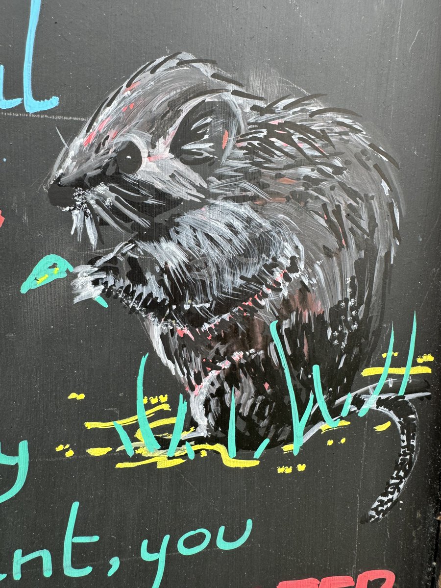 Our Spring trail is on now until 14th April. Have you had a go yet? We've got colouring, balance beams and even a drawing of a water vole... But why a water vole? Come and join the trail and find out!