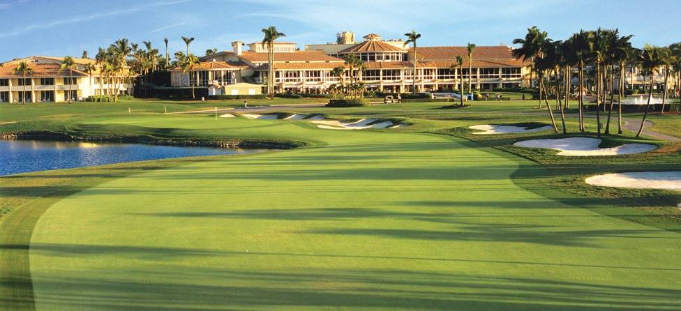 A Brief History of the Blue Monster @TrumpDoral 
spikeongolfandtravel.com/the-blue-monst…
@DoerflerJared @GolfersJournal @tolohgolfr @VISITFLORIDA @livgolf_league  @LIVGolfUpdates @SBJ @TrumpGolf #bluemonster #trumpnationaldoralmiami #LIVGolf #gilhanse #donaldtrump #dickwilson #Golf #gregnorman