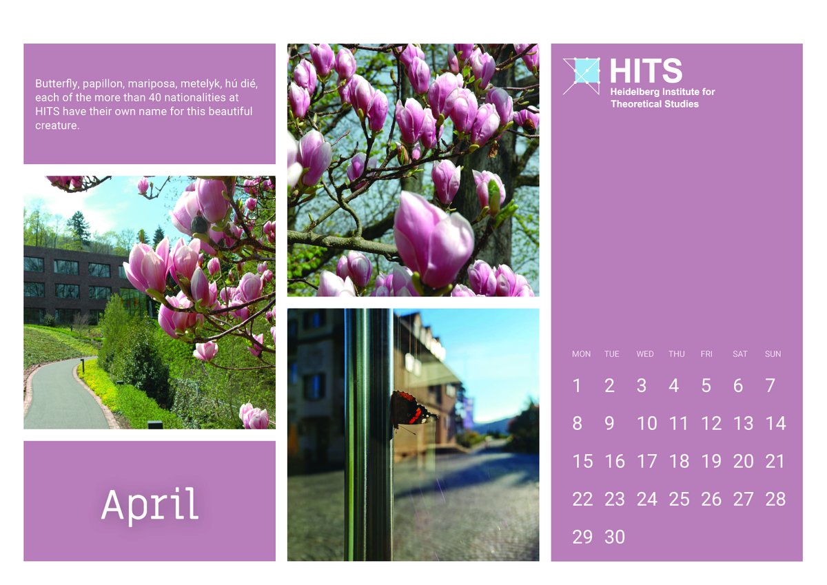 This month we're spoiled with the blooming magnolia trees in the HITS garden. We simply cannot get enough of their large fragrant white, pink, and purple flowers. With rising temperatures, we also soon expect the first butterflies – like the one on this month’s calendar page.