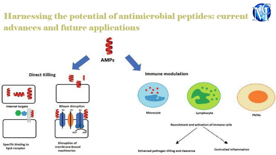 Harnessing the potential of #antimicrobial #peptides: current advances and future applications, published in Journal of #Bacteriology & #Mycology: Open access by Neha Singh, et al. medcraveonline.com/JBMOA/JBMOA-12… #biotechnology #medicine #research #bacteria #science