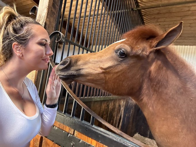 Yesterday @Kayden_Kross and I went on a horse girl adventure and did our best not to buy another horse<a class="tags" href="/tag/kayden_kross">@kayden_kross</a>