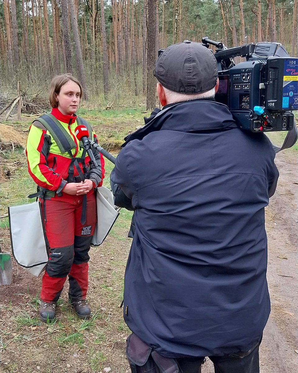 🌲🌳 Über 500.000 Bäume für den wachsenden Wald: Senatorin @SchreinerManja pflanzte heute mit Azubis der Berliner Forsten die letzten Bäume der Pflanzperiode. Durch die Pflanzung von Laubbäumen sollen die Berliner Wälder klimaresilienter werden. Mehr:👉 berlin.de/sen/uvk/presse…