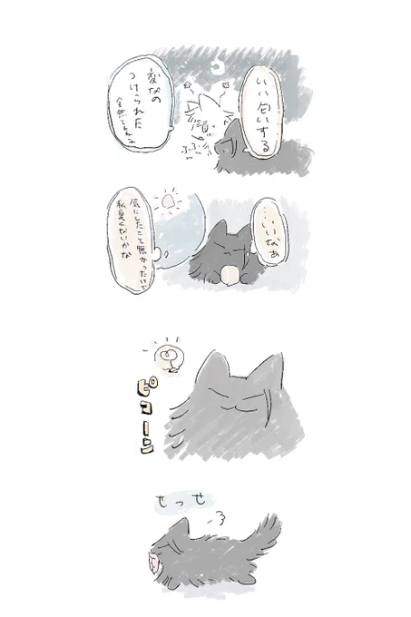 猫五夏 