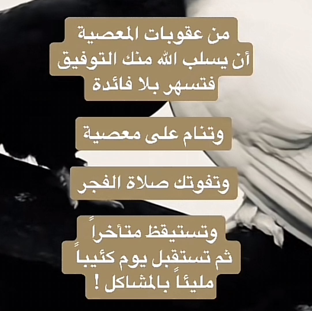 المتوكلة🇸🇦 tweet media