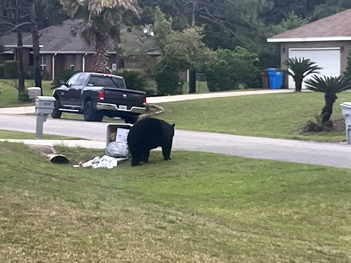 Why is HB87 important? This bad boy can eat our trash, ruin our yard, that’s ok. But if he attacks your kid waiting for the school bus? You now can protect your family.