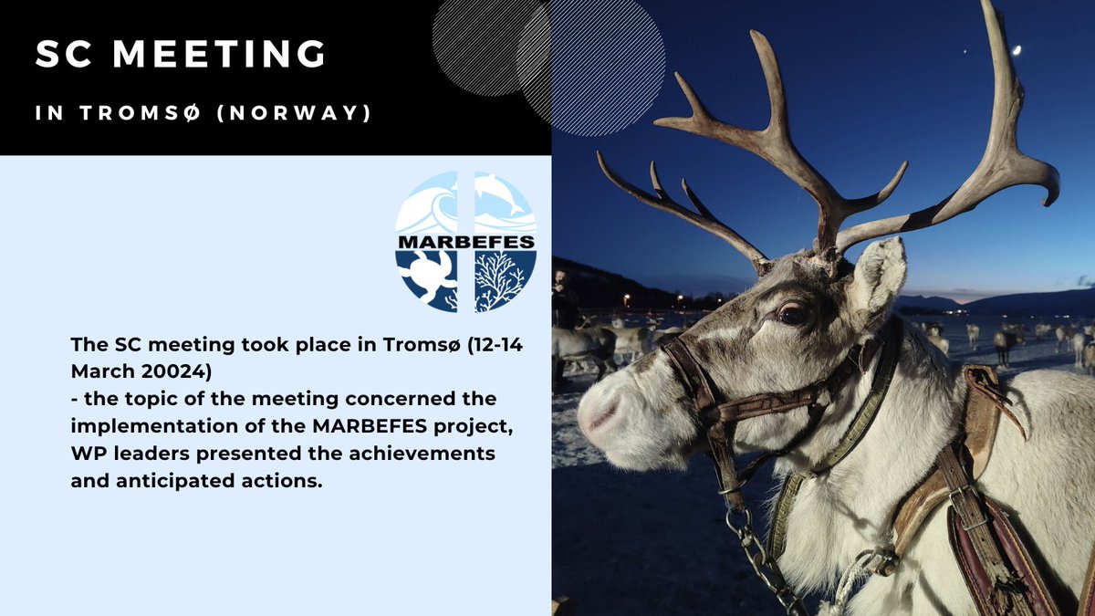 The SC meeting in Tromsø - the meeting was organized around specific topics to move away from working groups and focus on integration and interaction in BBT and WPs. See more: marbefes.eu/article/sc-mee… #tromsø #marbefes #bbt #integration #interaction #internationalproject