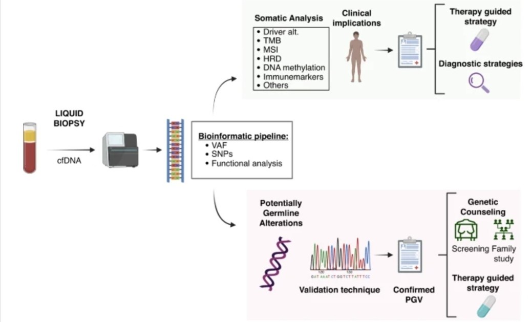 🧬🧪Have you ever identify a potential germline alteration in the results of a liquid biopsy? Check out our latest review about incidental PGV, now published in @BrJCancer bit.ly/43R0i1J @LauraMezquitaMD @hospitalclinic @isliquidbiopsy