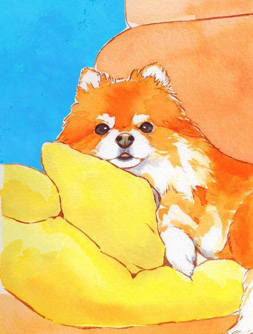 「shiba inu」 illustration images(Latest｜RT&Fav:50)